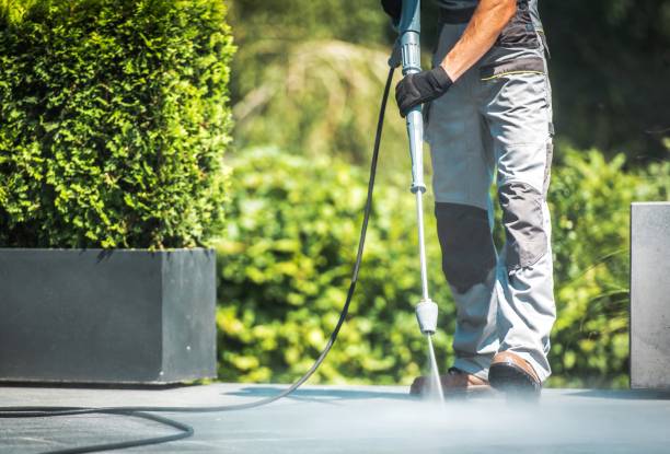 Best Roof Cleaning and Mildew Removal in South Beach, FL